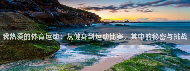 谈球吧体育官网