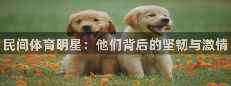谈球吧体育